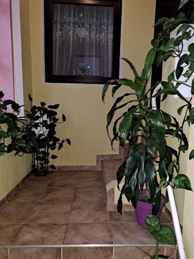 La Bibicu Hotel Agnita Bagian luar foto