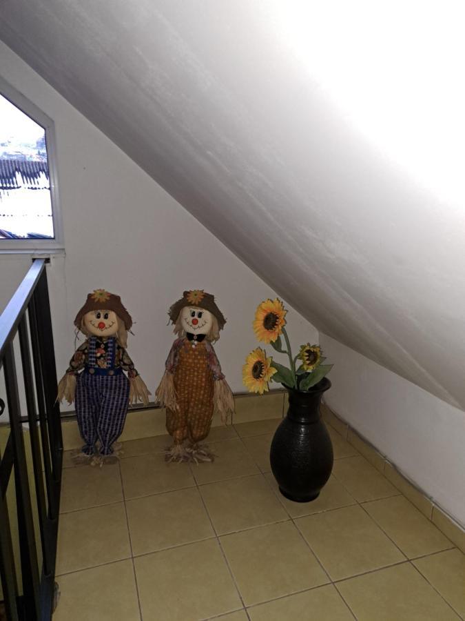 La Bibicu Hotel Agnita Bagian luar foto